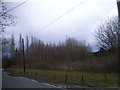 Woods by Shipley Bridge Lane, Copthorne