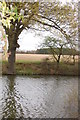 TL9220 : Pond at Shemmings Farm by Trevor Harris