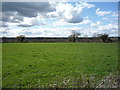 Grazing west of Ashbourne Road