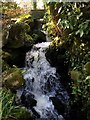 Porter Brook waterfall Endcliffe Park Sheffield