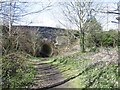 NT2663 : Edinburgh, Loanhead and Roslin Railway by Richard Webb