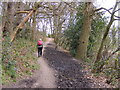 SO8787 : Woodland Path by Gordon Griffiths