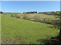 Garvagh Townland