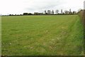 ST4023 : Field by Croftland Lane by Derek Harper