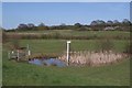 TL4903 : North Weald Flood Meadow by Glyn Baker