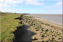 SJ2274 : The Dee Estuary shore at Bagillt by Jeff Buck