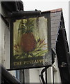 Pineapple pub name sign, Llandaff North, Cardiff