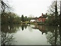 Brattle Mill Pond