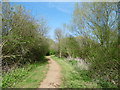 Path alongside the Yeading Brook