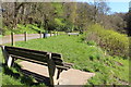 Picnic Area, River Ayr