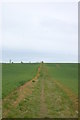 Footpath near Layer Marney