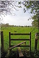 Footpath to Eastwick