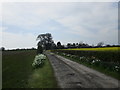 Driveway to Grange Farm