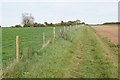 SU4738 : New fencing - Wonston Manor Farm by Mr Ignavy