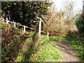 The North Downs Way near Oak Wood