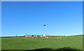 Plane over Brocklehill Farm