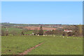 Farmland at Auchincruive