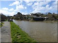 Sheds by Bude Canal