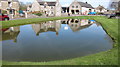 The duckpond on the village green at Hartington