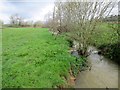 Tributary of River Rother