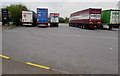 ST3552 : Five lorries in Sedgemoor Services Northbound lorry park by Jaggery