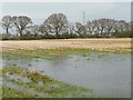 SE5659 : Partially flooded field, west of North Hall Moor by Christine Johnstone