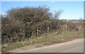 Missing public footpath by Cornelly Quarry