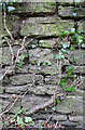 Benchmark on Water Lane wall