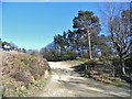 Car park entrance on Radnor Road, Peaslake