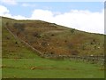 Dyke, Wrae Hill