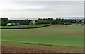 Farmland near Grafton