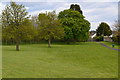 Green beside the A31 at Ringwood