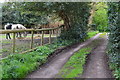 Footpath and ponies near Blashford Farm