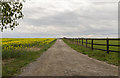 Track to Mount Pleasant Farm