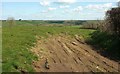 Field near Berry Farm