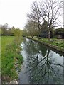 Reflections in the Stour