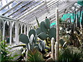 The Arid House, Birmingham Botanical Gardens