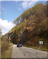 NG9037 : A890 road below steep slopes, by Loch Carron by Craig Wallace