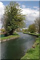 The New River in Broxbourne