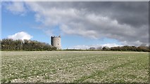 TQ4807 : Field near Firle Tower by James Emmans