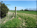 The North Downs Way near to the A28