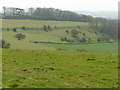 View towards Hempton Lodge Farm from the North Downs Way