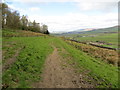 Footpath from Well Spring to Gibside