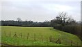 Farmland near Clara