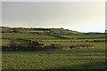 Farmland near Scargie