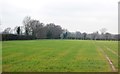 Farmland, Hawkenbury