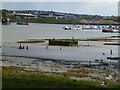 Medway Bridge Marina at low tide