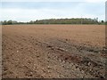 SO8843 : Ploughed field near Dunstall Farm by Philip Halling