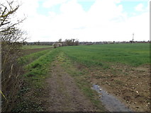 TM1453 : Footpath to Rectory Road by Geographer