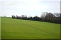 Farmland, Pouchen End